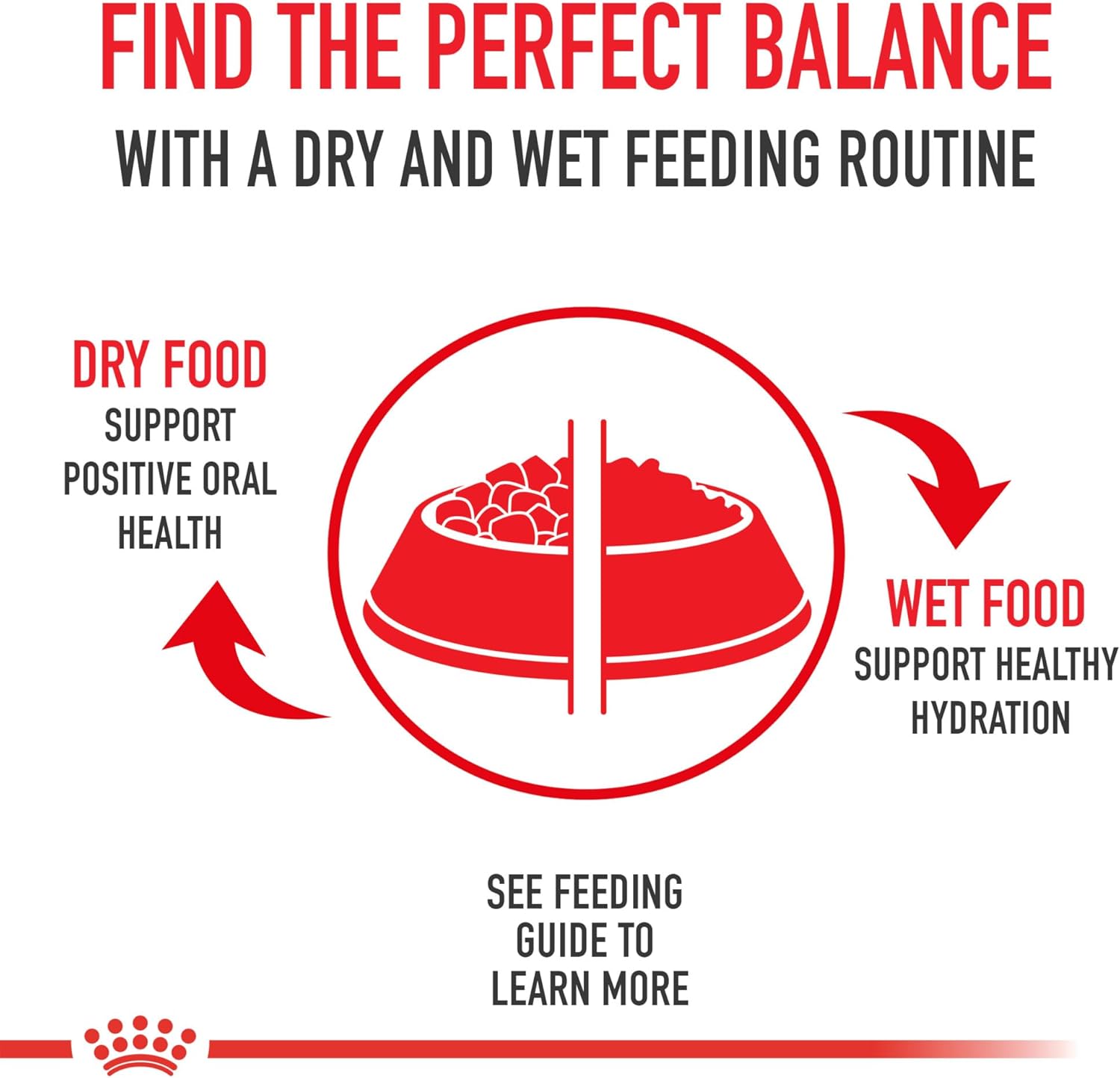 Royal Canin Feline Health Nutrition Adult Instinctive Adult Thin Slices in Gravy Cat Food, 3 oz (Pack of 18)