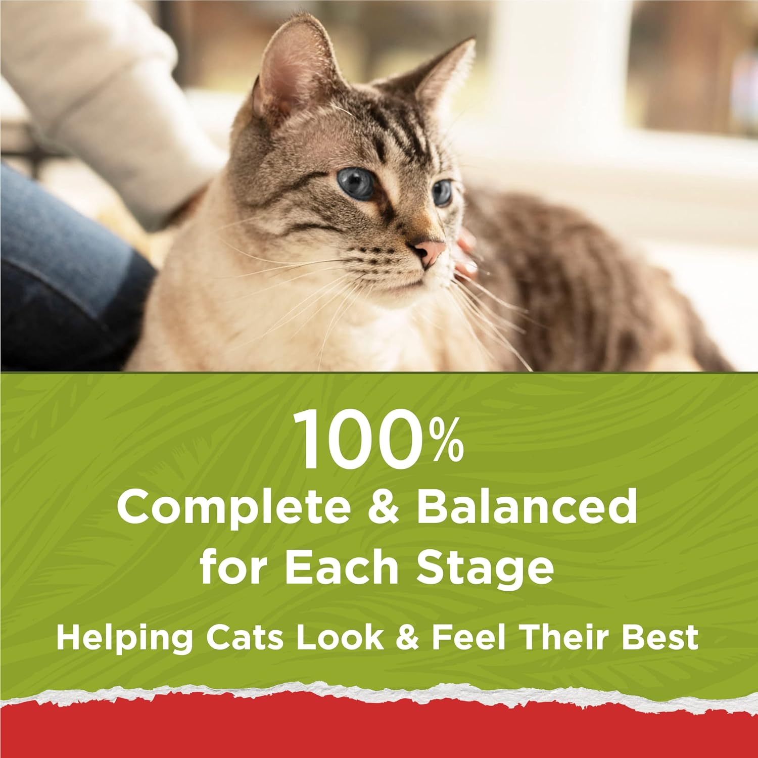Purina Cat Chow Naturals With Added Vitamins, Minerals and Nutrients - 13 lb. Bag