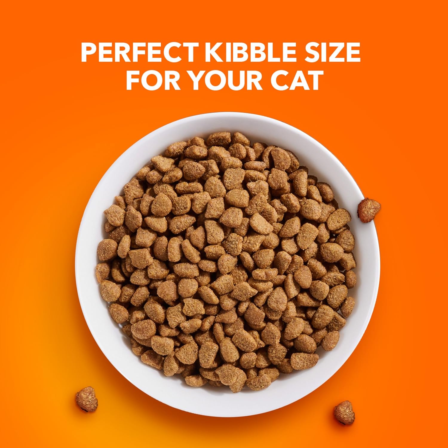 IAMS Proactive Health Indoor Weight Control & Hairball Care Adult Dry Cat Food, Salmon Recipe, 7 lb. Bag