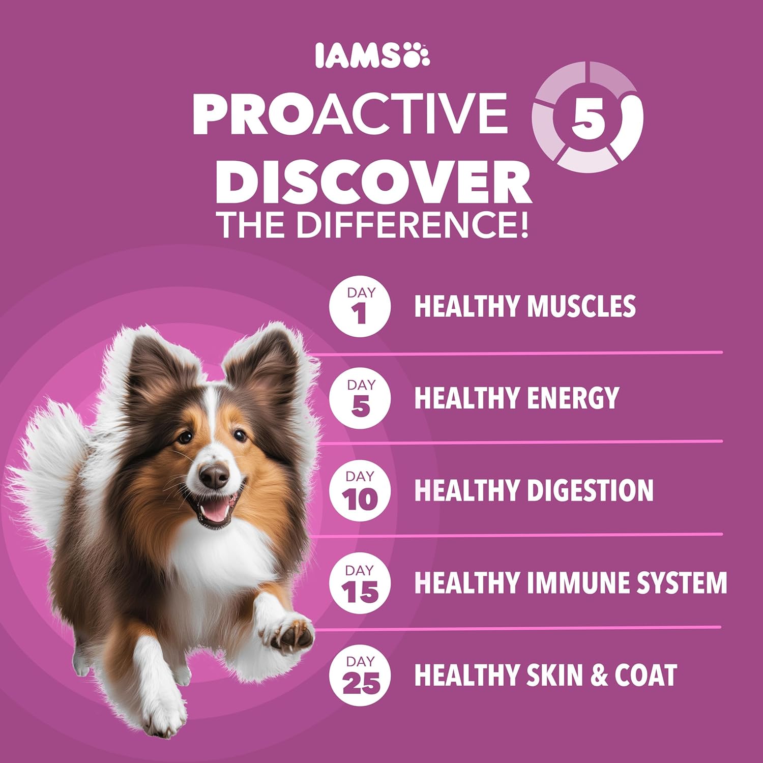 IAMS Proactive Health Healthy Aging Adult Dry Dog Food for Mature and Senior Dogs with Real Chicken, 29.1 lb. Bag