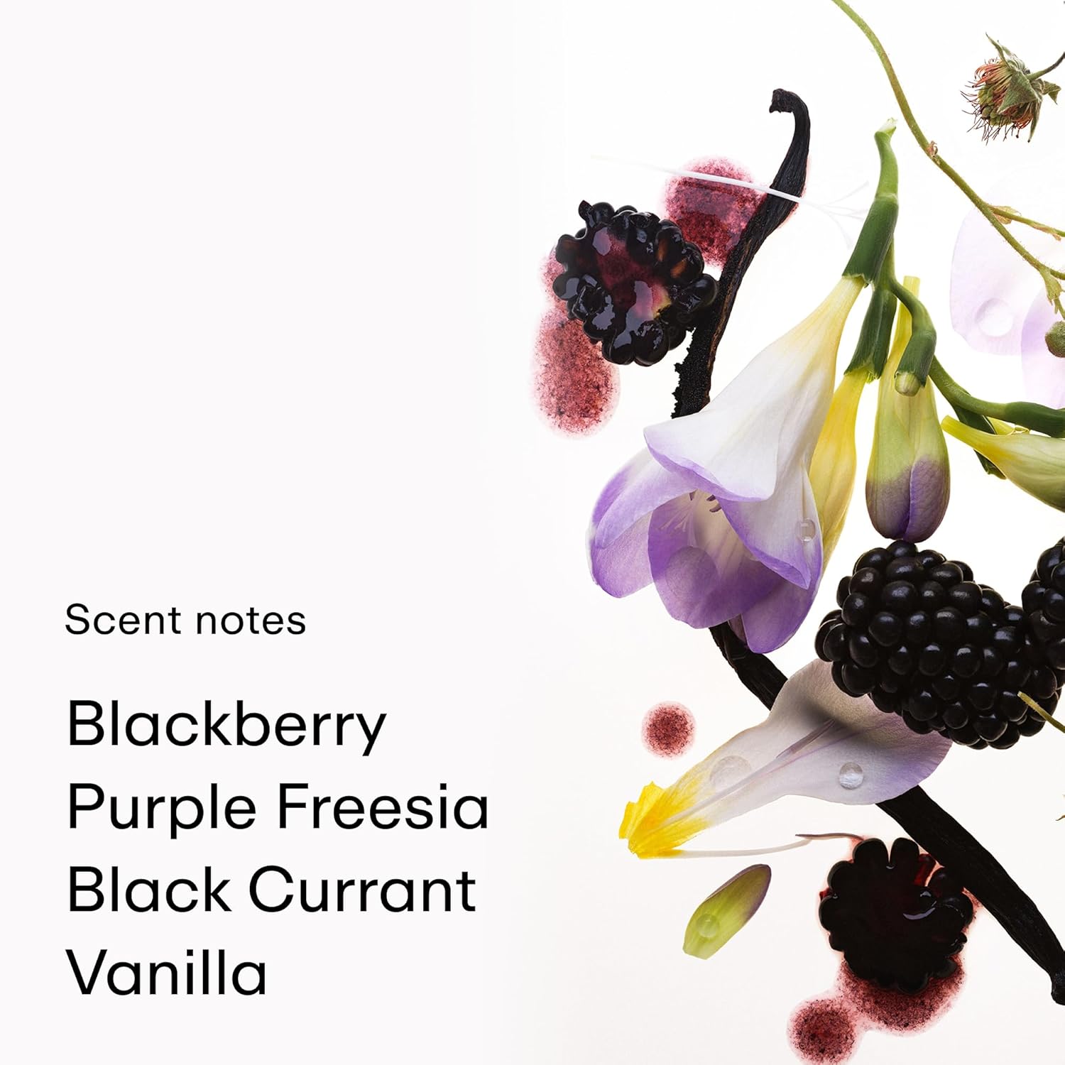 PHLUR Vanilla Blackberry Body Mist, 8 Fl Oz - Hair and Body Perfume for Women