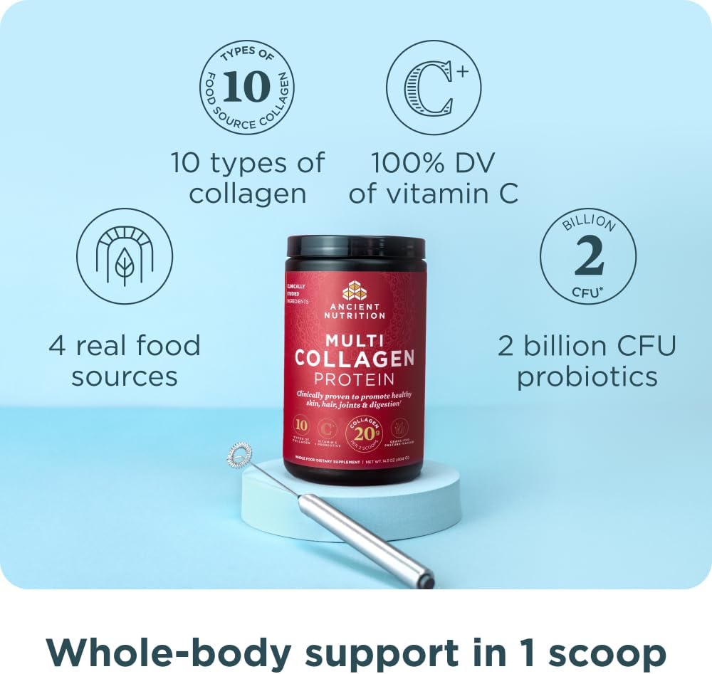 Ancient Nutrition Collagen Powder Protein with Probiotics Unflavored 16oz
